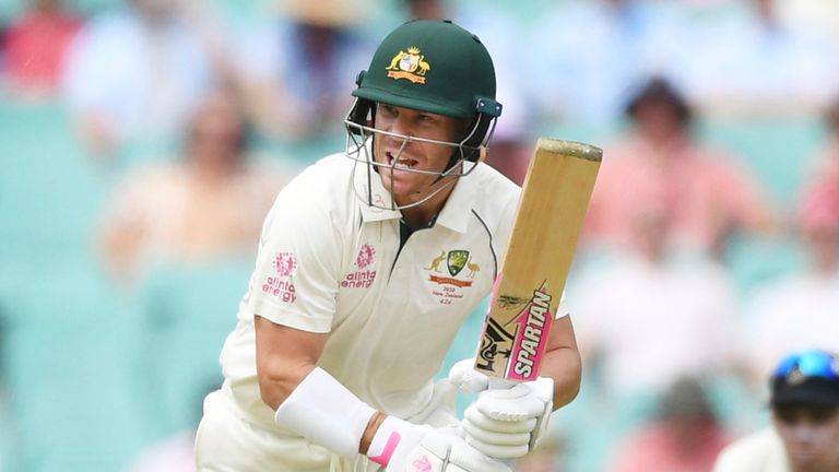 Fit-again David Warner is set to play his first Test since January