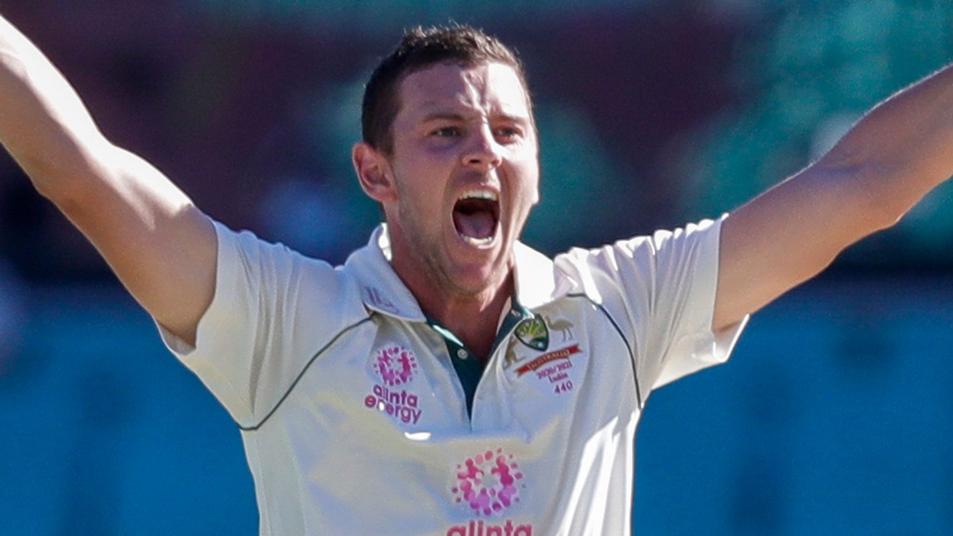 Australia on course for victory in third India Test
