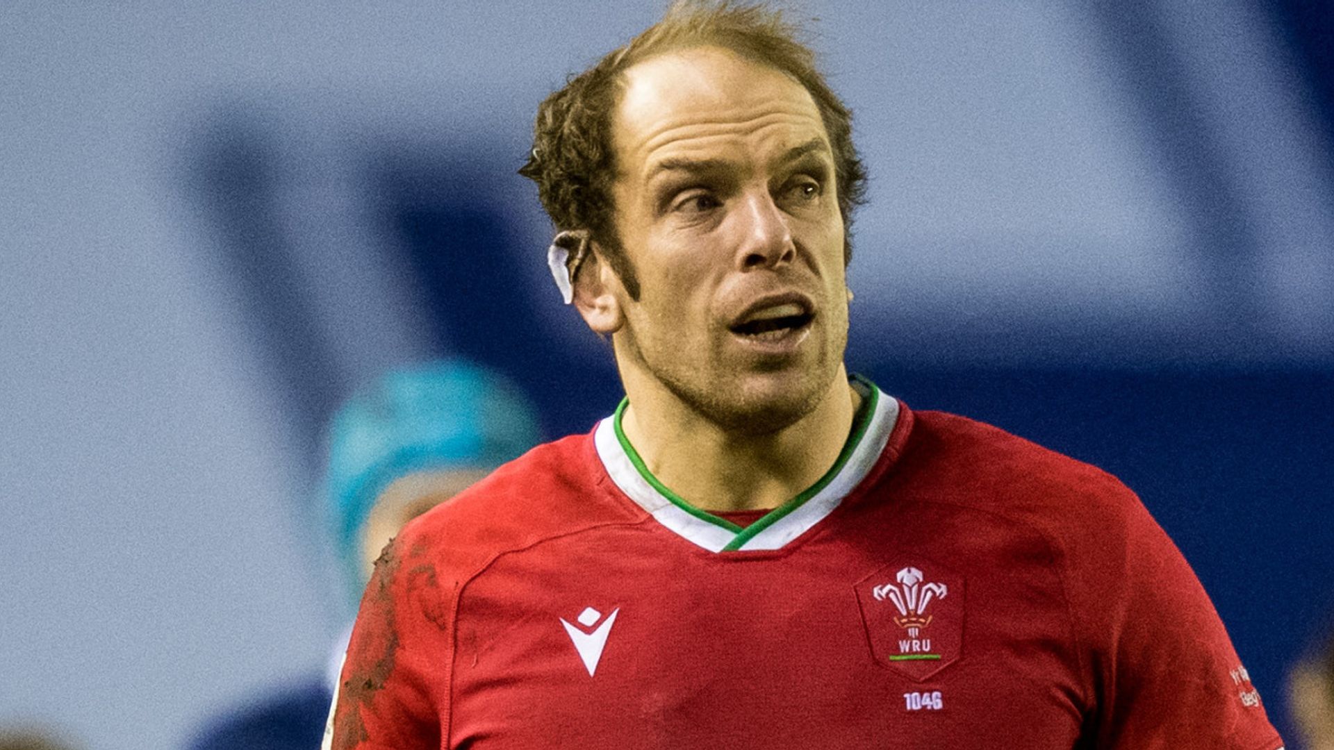Jones: Wales fans' excitement not lost on us