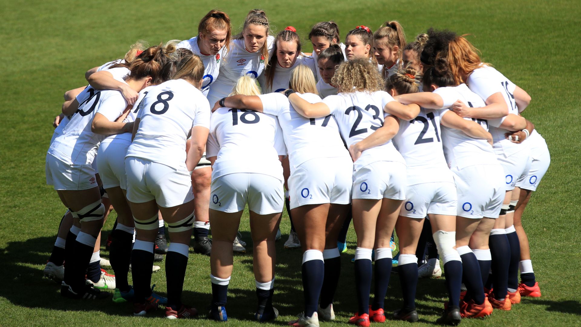 England to play New Zealand twice in autumn series