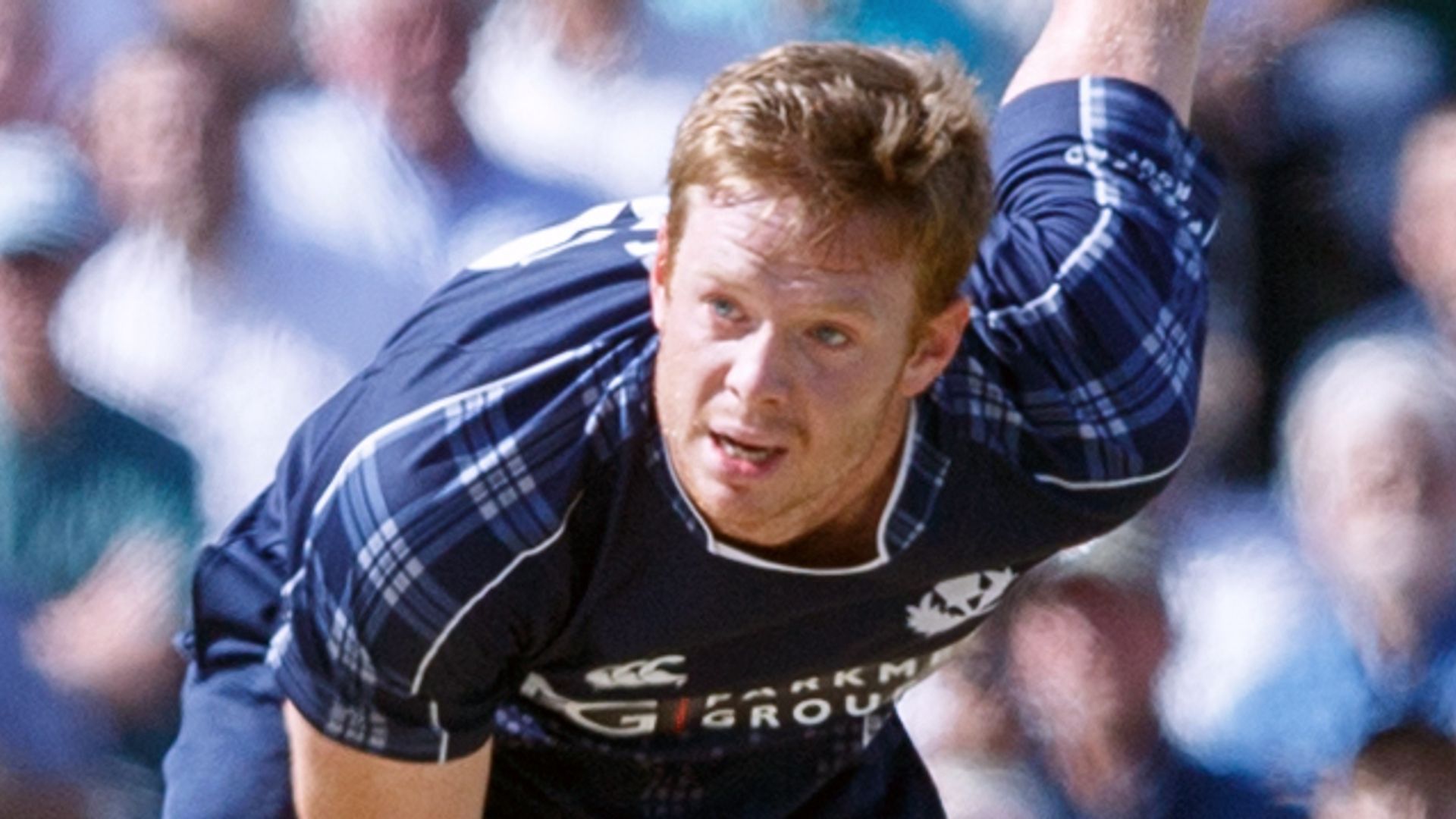 Evans five-for earns Scotland a draw