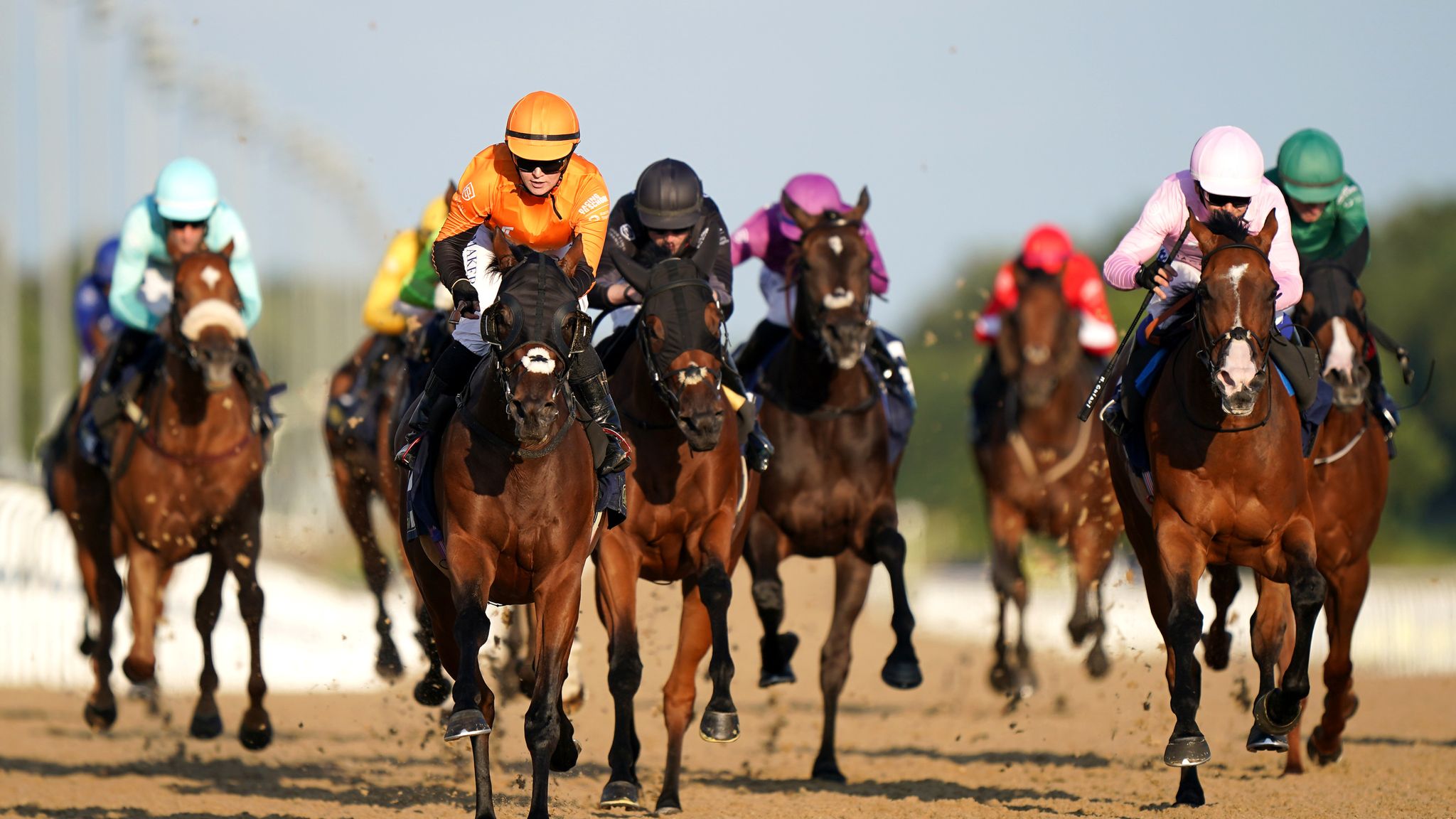 Horse Racing News