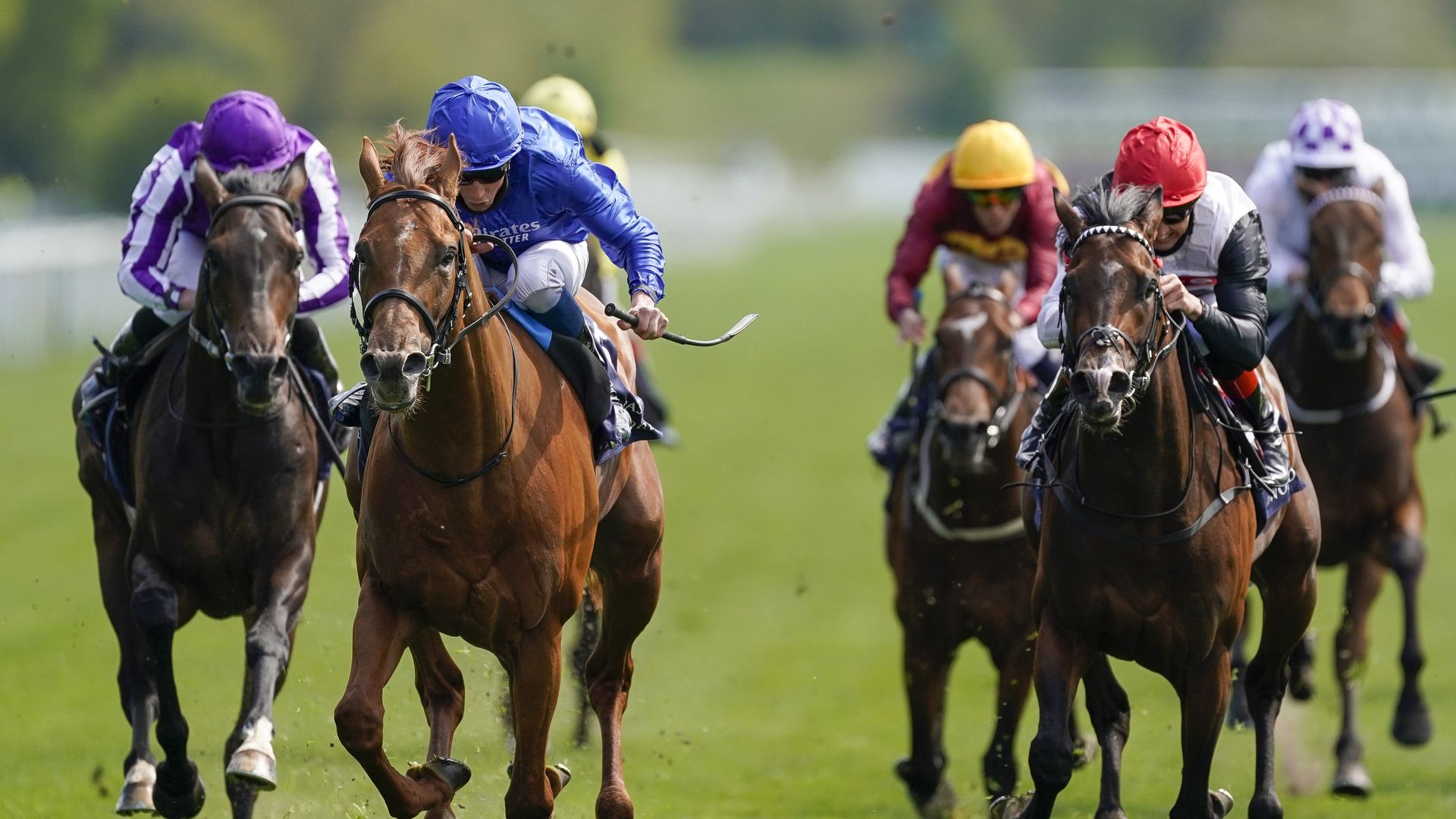 St Leger live on Sky Sports: Horse-by-horse guide