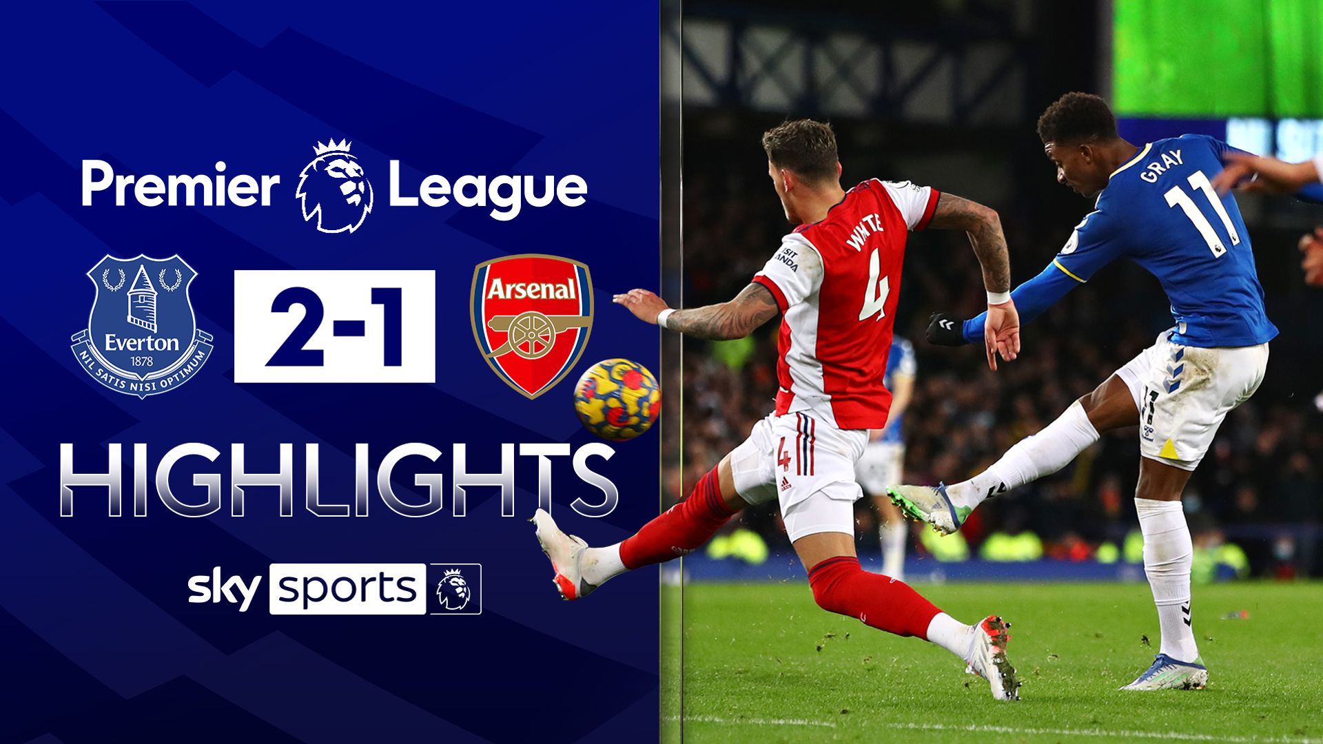 Gray screamer gives Everton late win