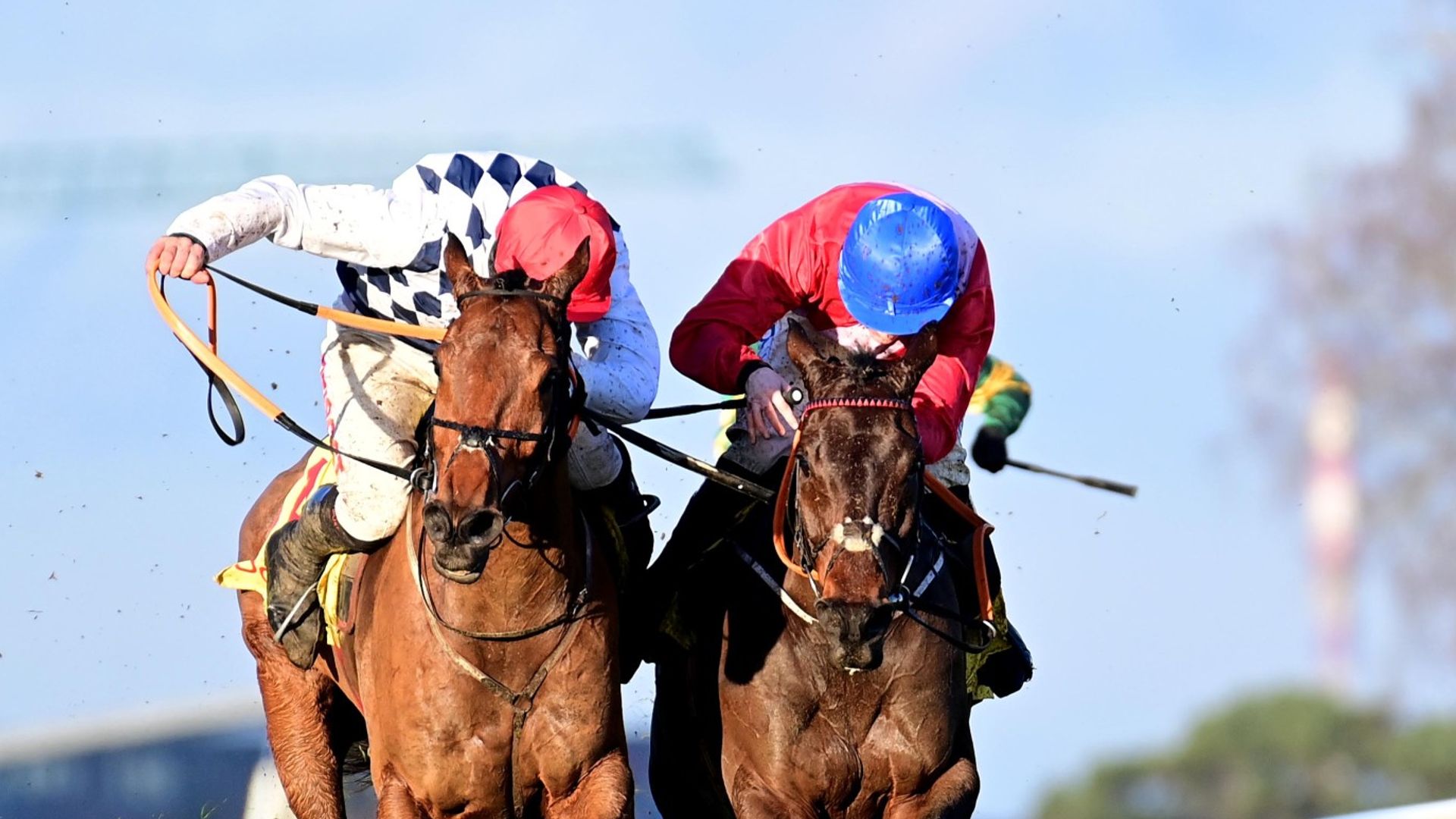 Savills Chase stays the plan after A Plus Tard disappointmentSkySports | Information