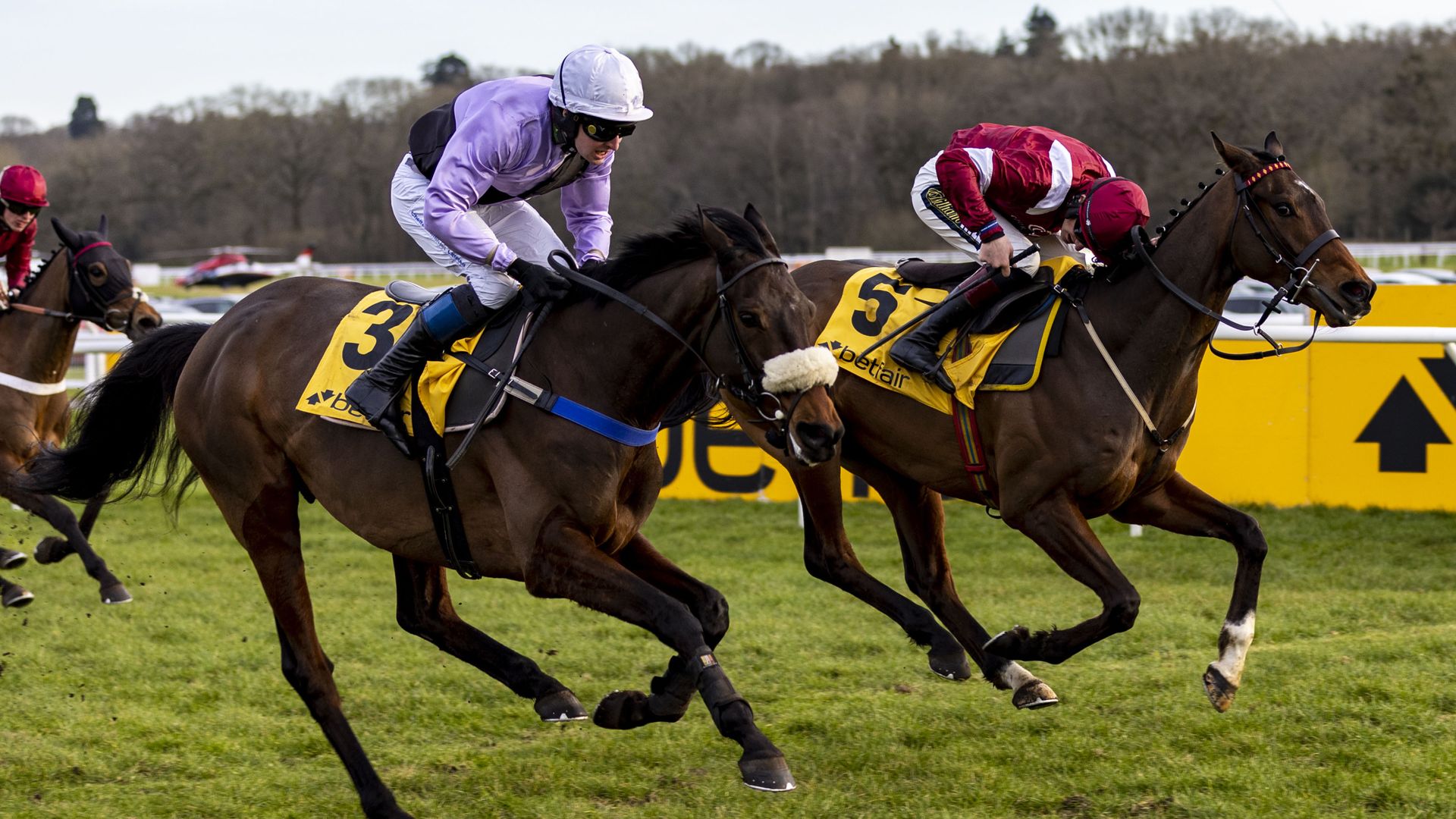Fortune goes for more Welsh Champion Hurdle glory
