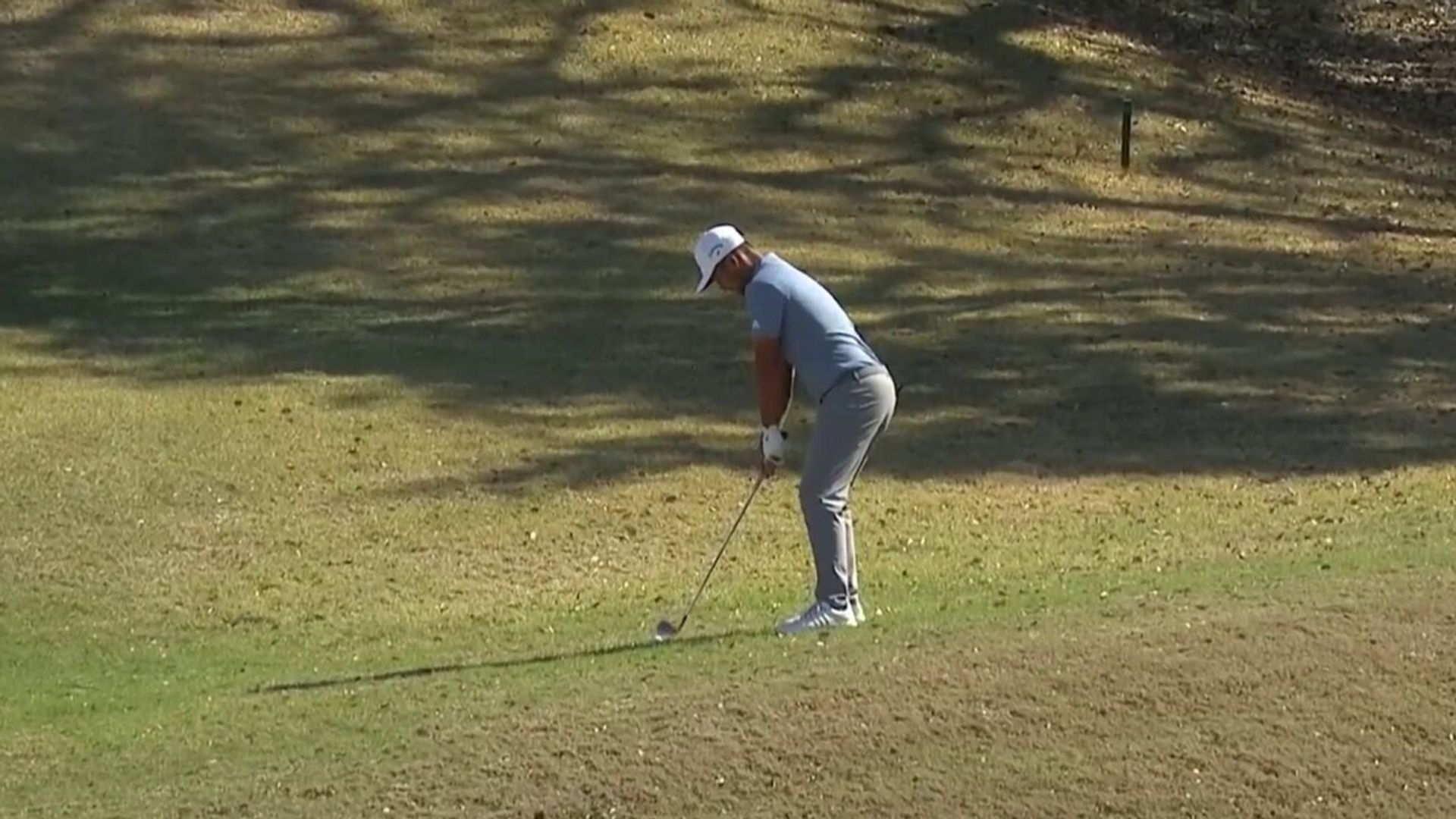 Schauffele loses his ball down a wooden crack!