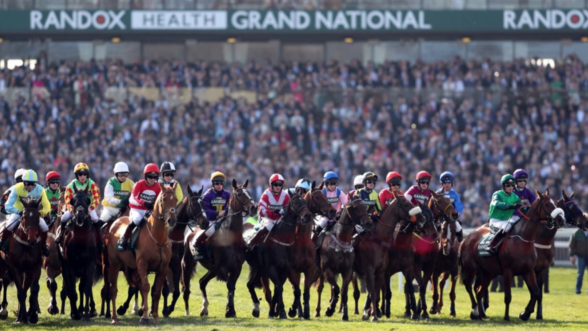 How to pick your Grand National winner