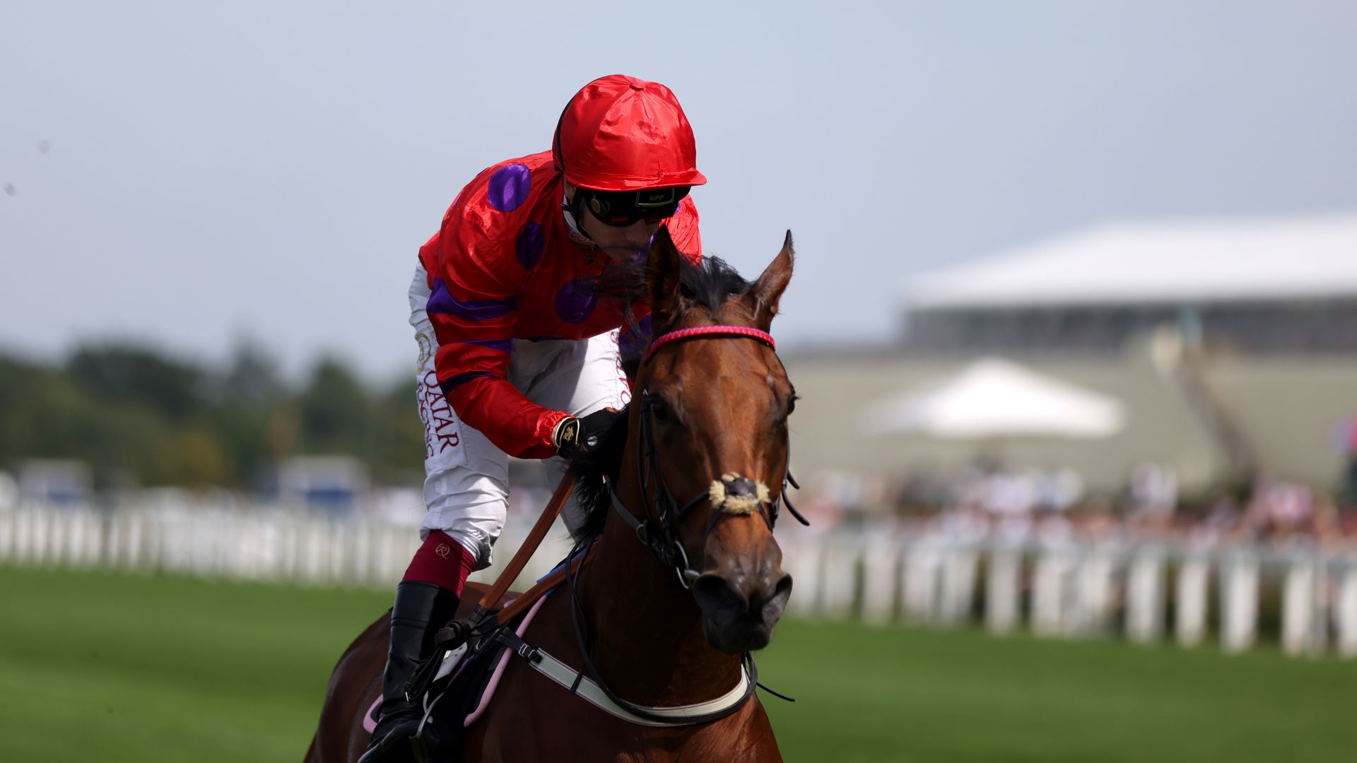 Fairly Polly plan for Dreamloper if floor stays fastSkySports | Information
