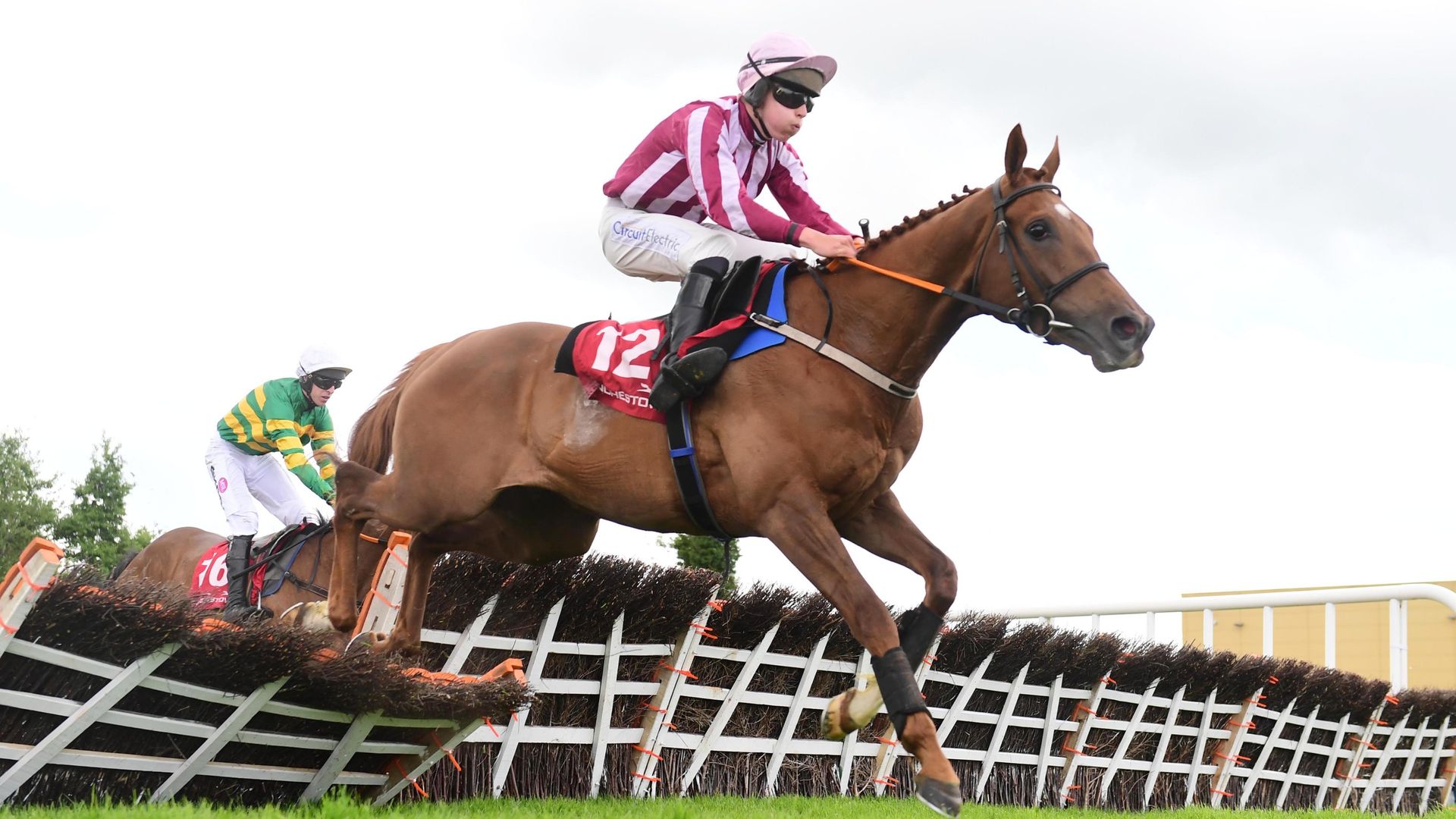 Large-priced winner at Punchestown as Sawbuck springs 300/1 shockSkySports | Information