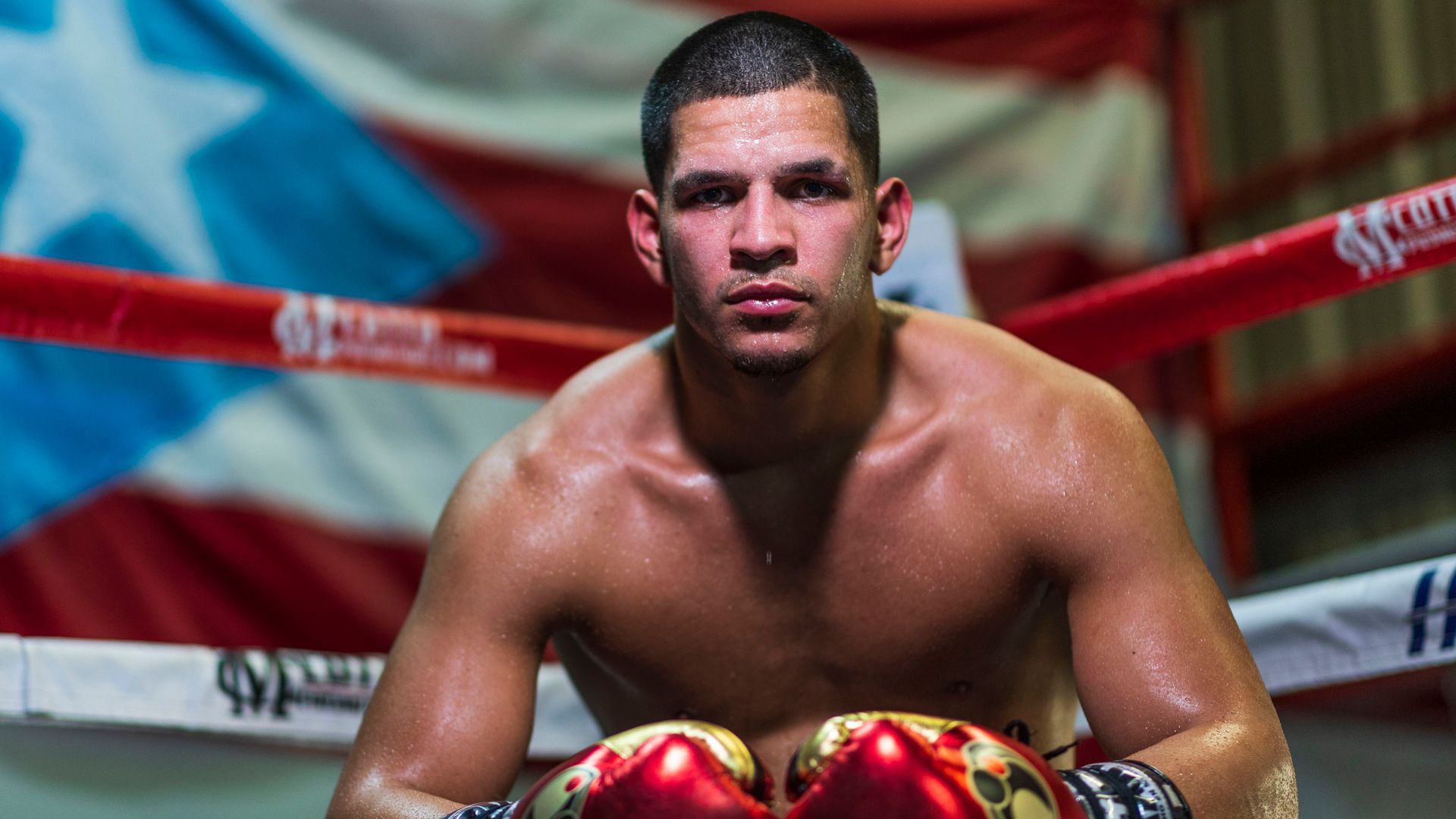 Berlanga and Hitchins sign with Zuffa Boxing