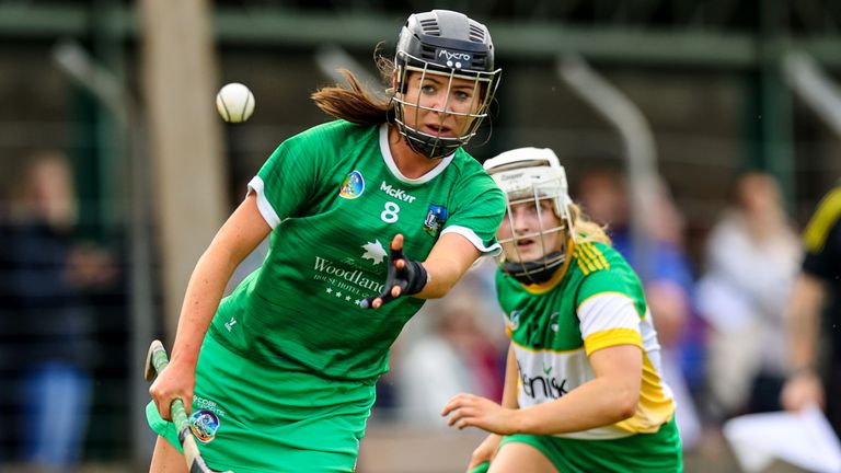 Limerick secured a narrow victory