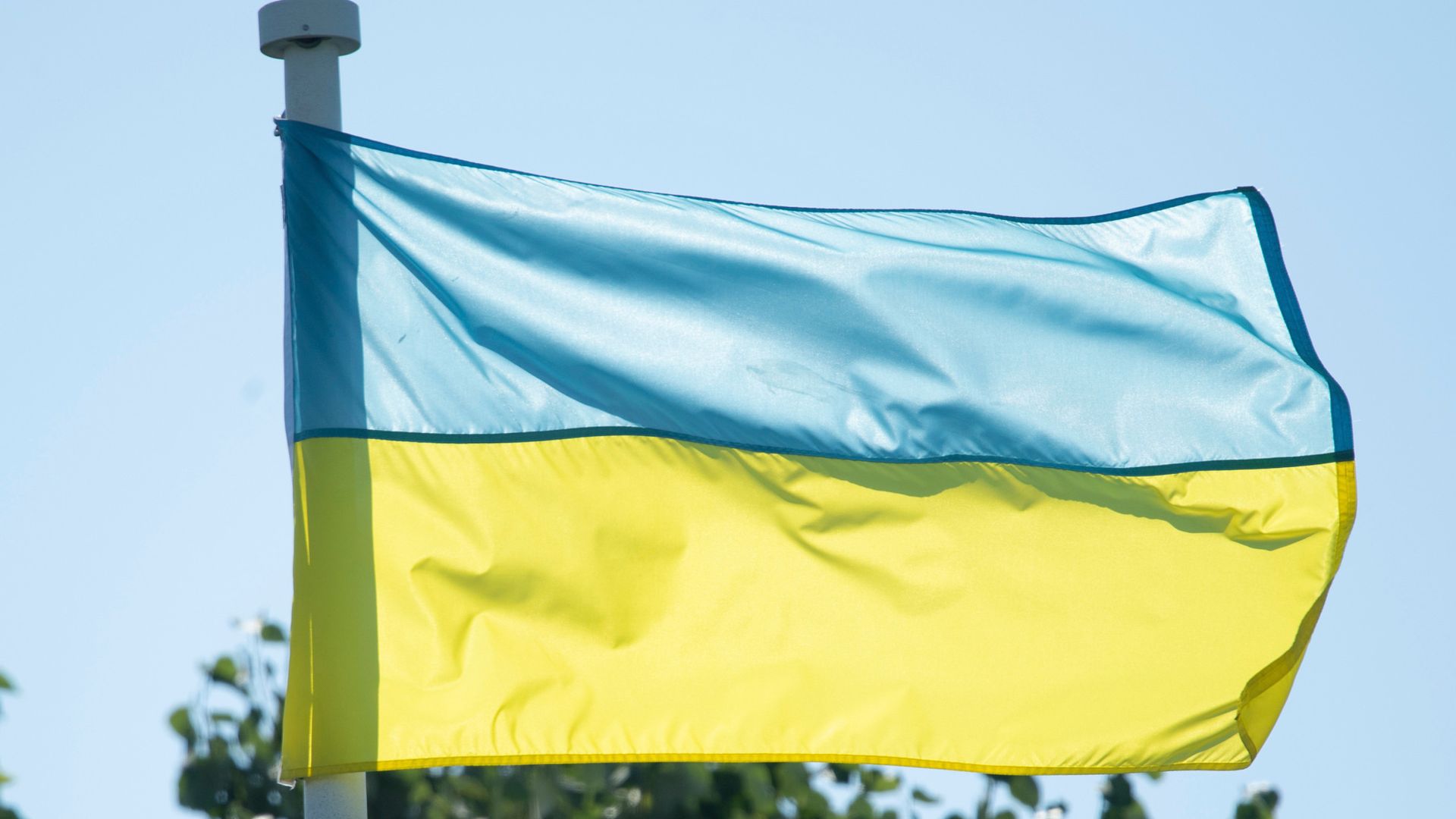 Fan asked to remove Ukraine flag because it was too big, says Cincinnati organisers