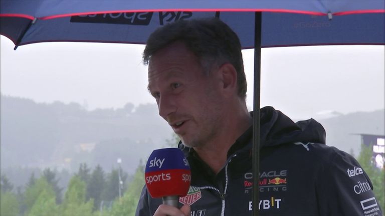 El jefe de Red Bull F1, Christian Horner, dijo que le entristece anunciar que McLaren reemplazará a Ricciardo en la temporada 2023 y agregó que es 