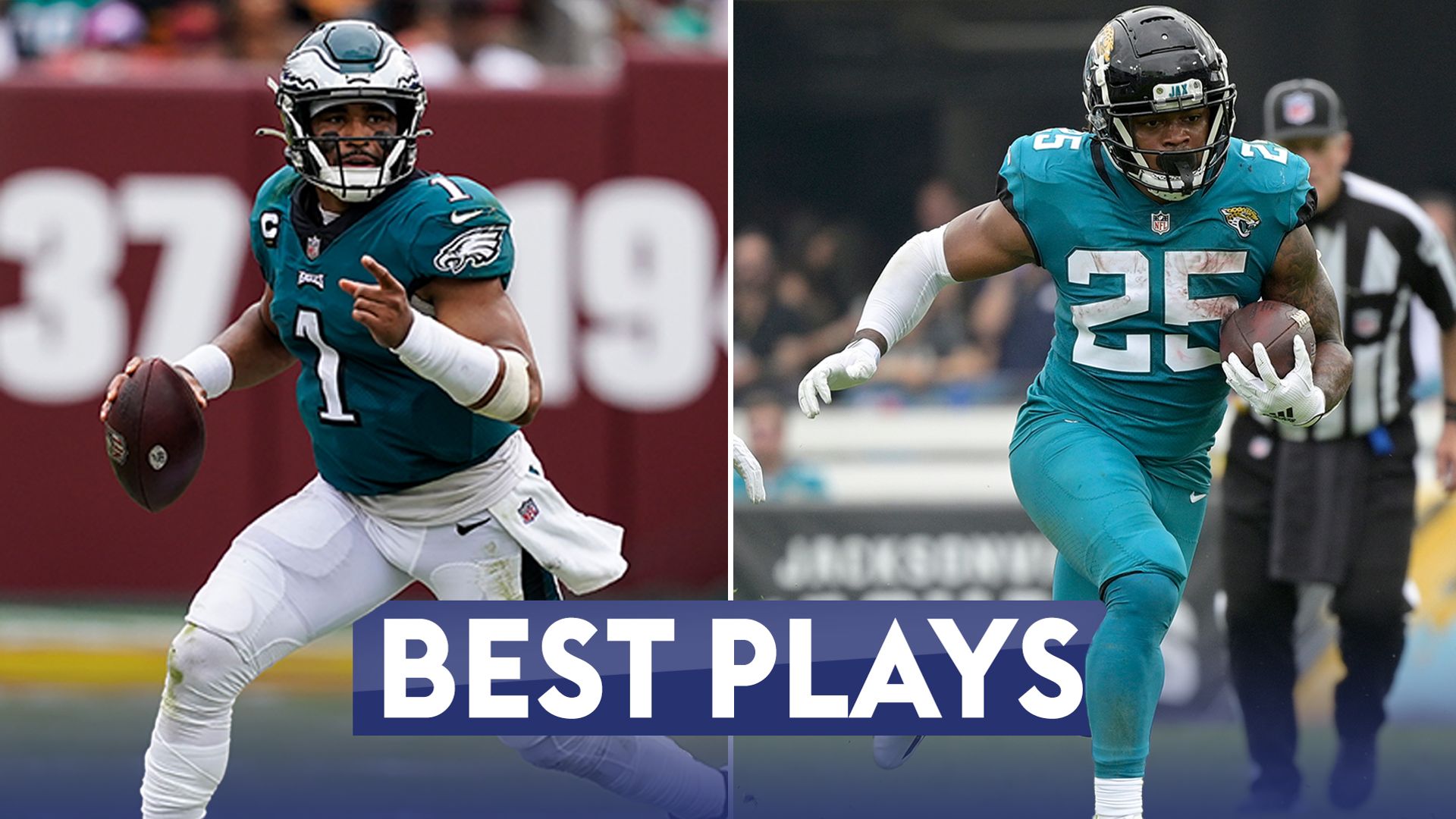 Jaguars & Eagles | Best Plays so far