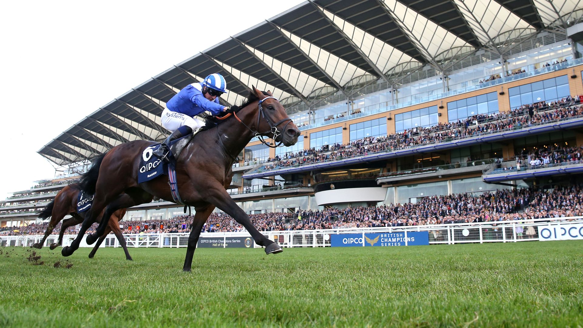 Ascot count on no worse than comfortable floor for Champions DaySkySports | Information