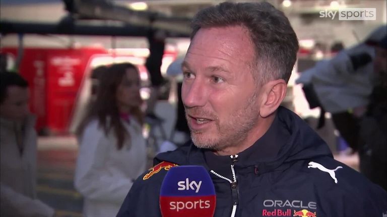 Red Bull boss Christian Horner was full of praise for Max Verstappen after the Dutchman clinched his second world championship at the Japanese Grand Prix.