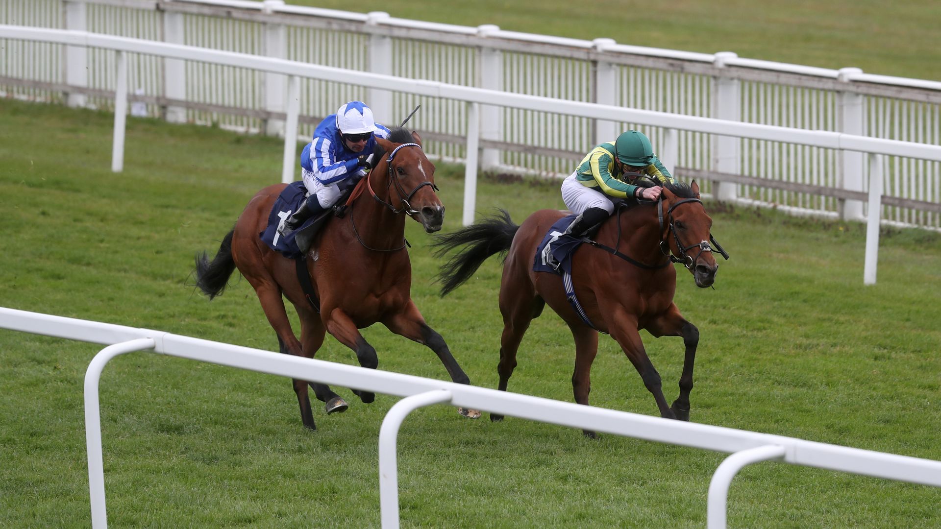 Race of the Day: Greatgadian out to extend unbeaten all-weather run