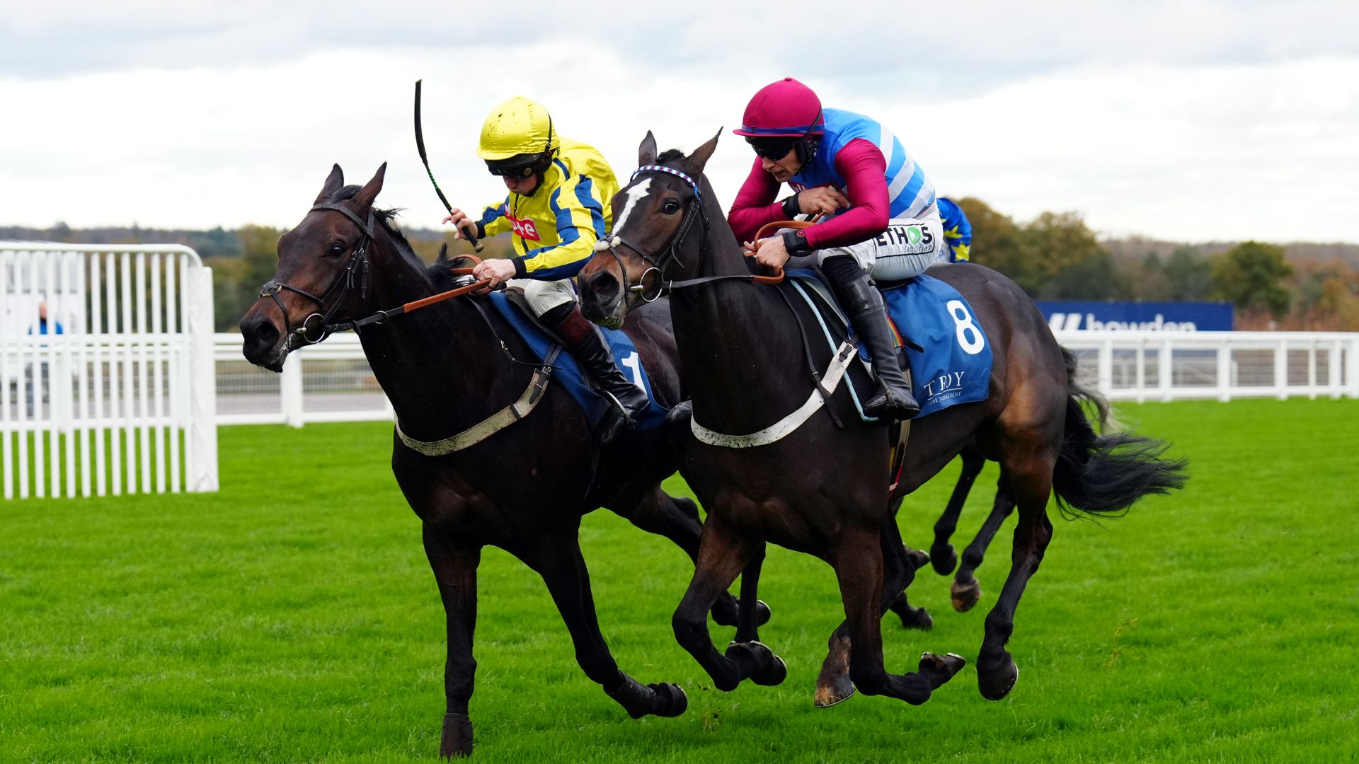 Heskin fires in Ascot double; Your Darling delivers for PaulingSkySports | Information