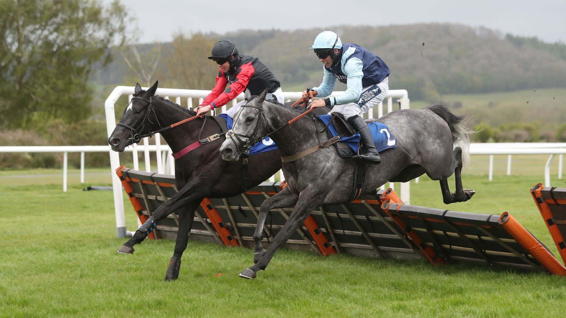 Race of the Day: Bellatrixsa has ability to take Doncaster feature