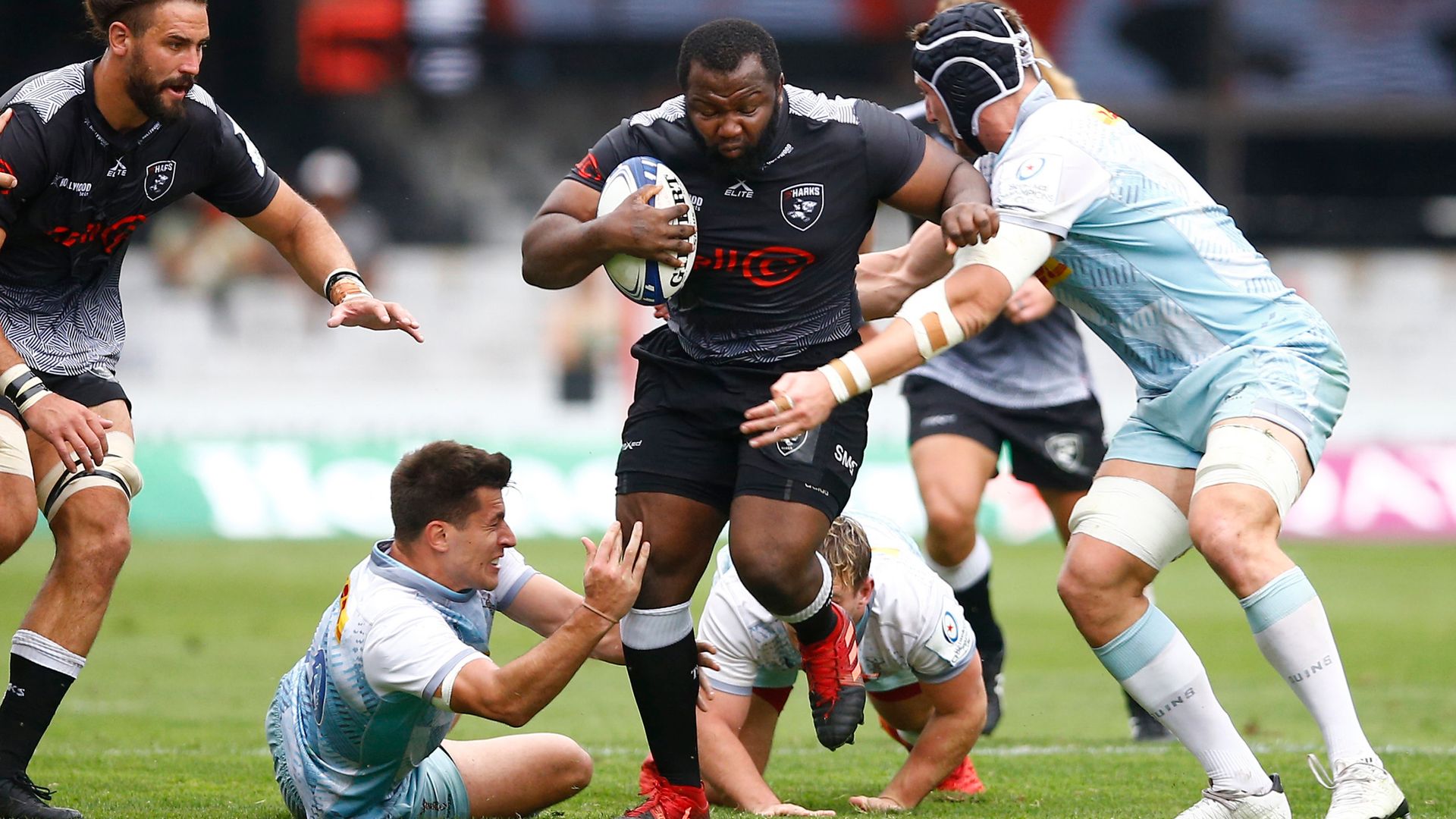 Sharks beat Quins to make history | Wins for Leinster, Gloucester