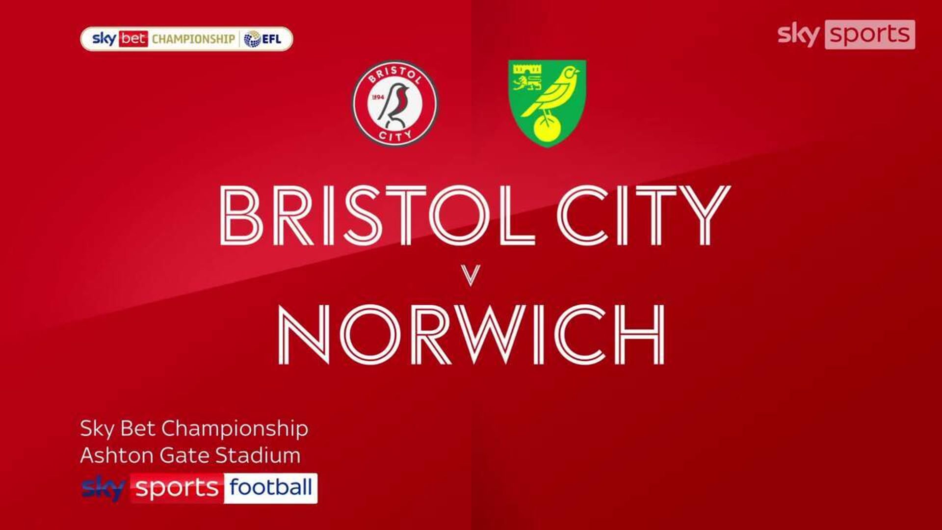 Bristol City 1-0 Norwich