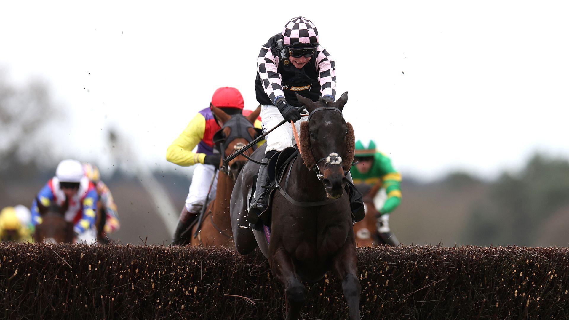 Cap Du Nord out to shine in Summer Cup at Uttoxeter on Sunday