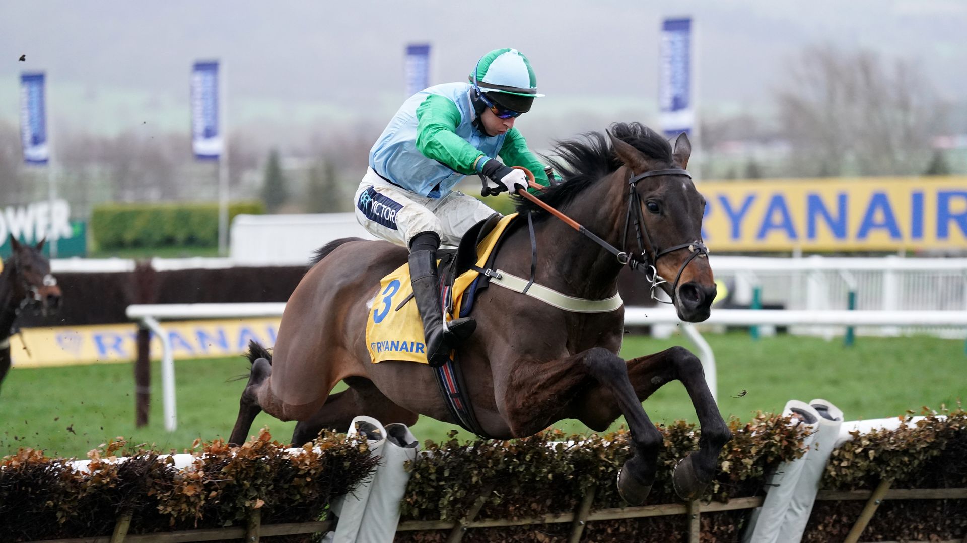 You Wear It Well dominates Mares' Novices' Hurdle from the front