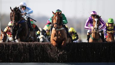 Southwell jumps general view