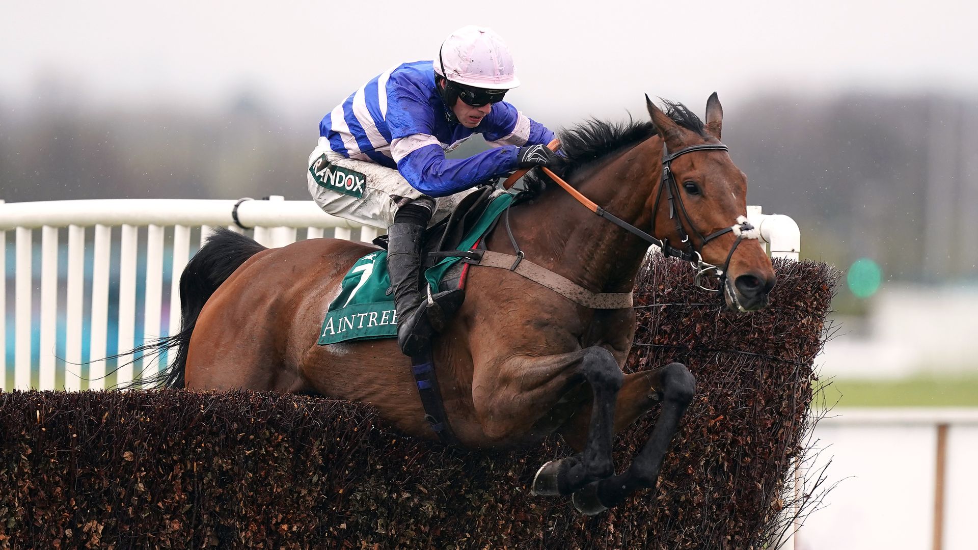 Pic D'Orhy lands Marsh Chase for Nicholls and Cobden