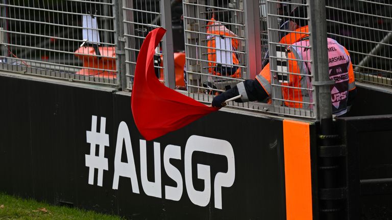 Martin Brundle does not believe the FIA called for red flags to 'whizz up more fun'