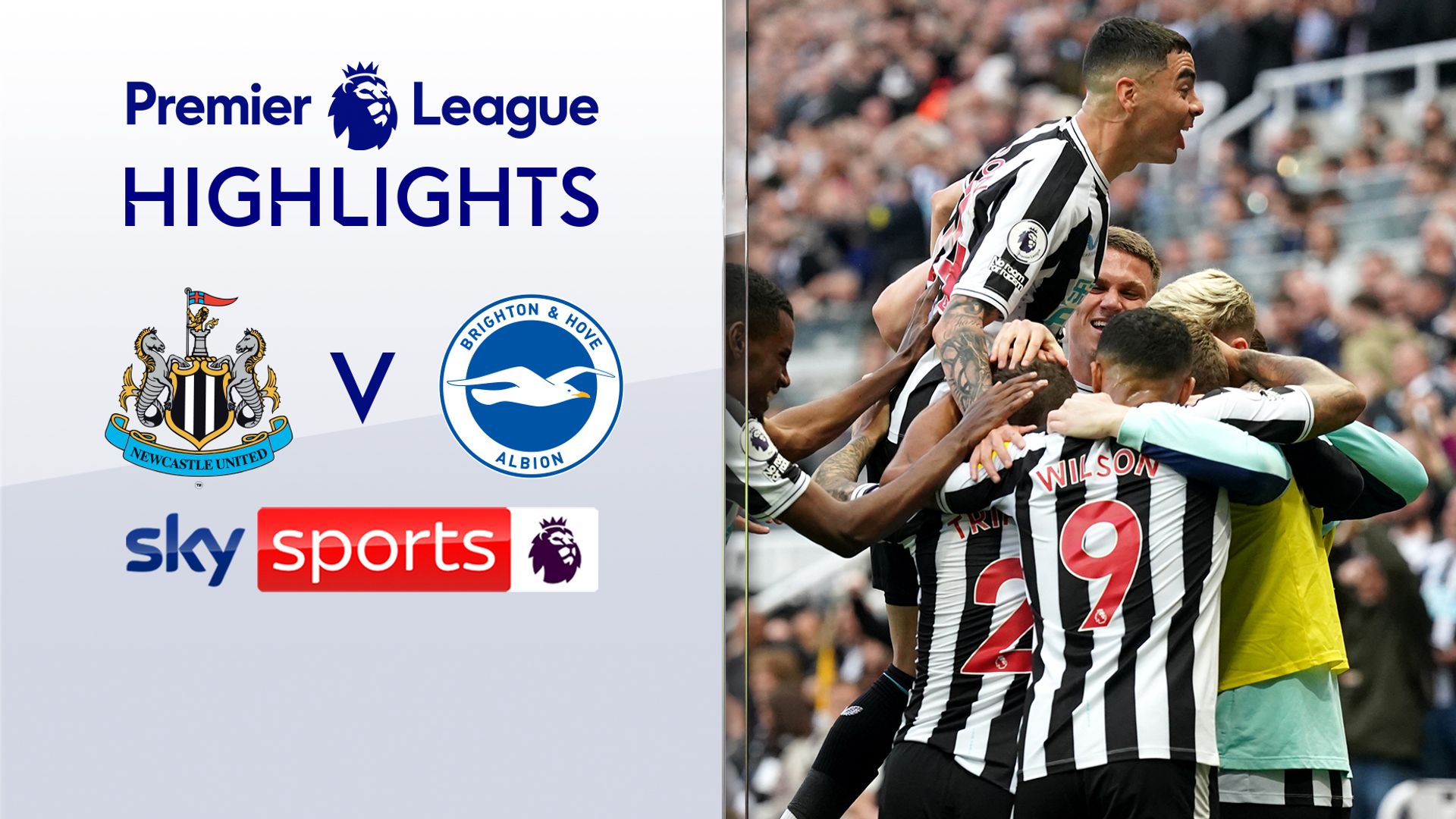 Brilliant Newcastle put four past Brighton