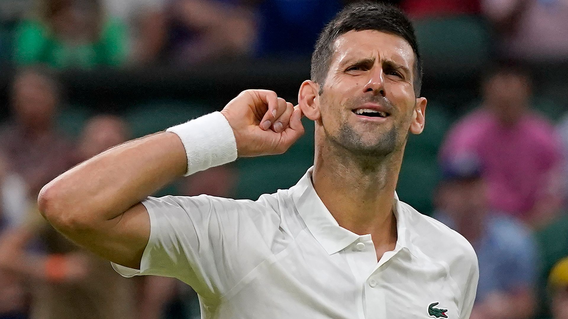 Djokovic crushes old foe Wawrinka after Alcaraz is given stern test