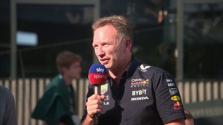 Red Bull 팀장인 Christian Horner가 Hungaroring의 도전적인 예선 세션을 회상하고 Lewis Hamilton과 Daniel Ricciardo의 공연에 대해 칭찬합니다. 