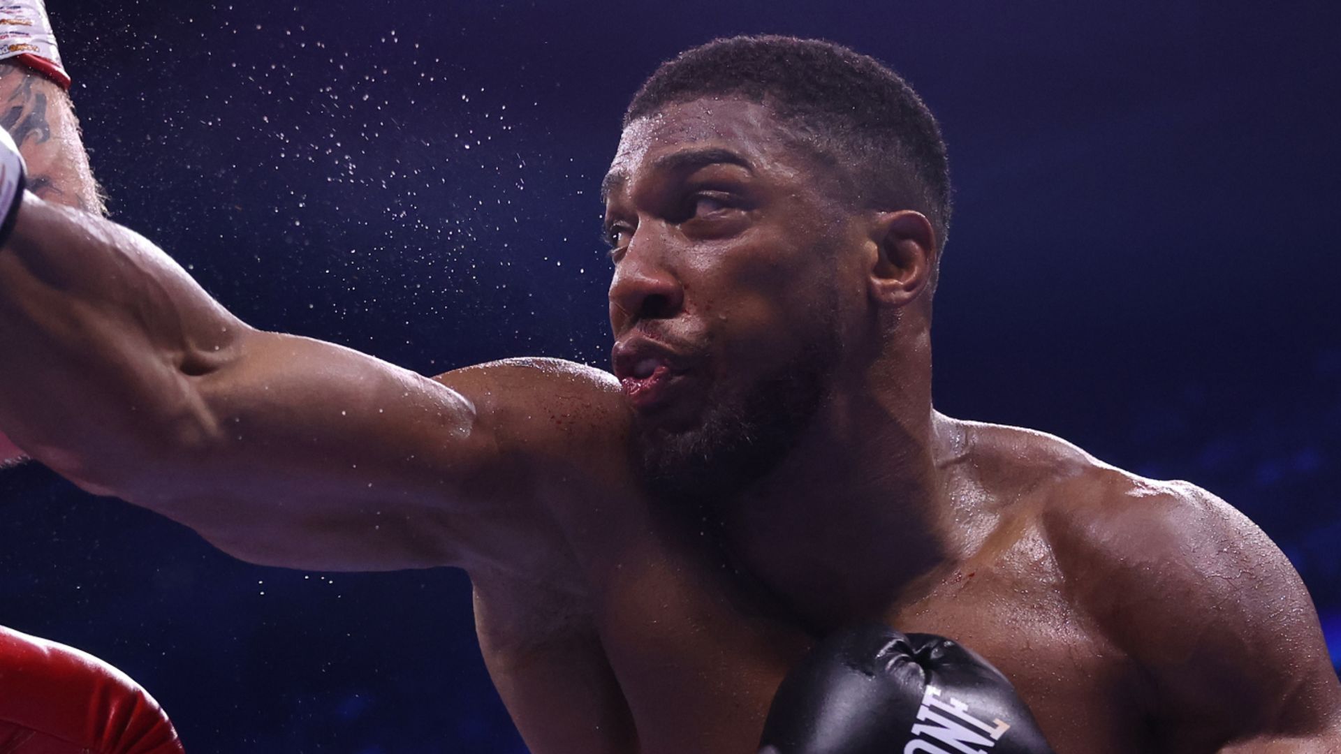 Joshua welcomes Wilder next | 'Roll on! No worry to me when it is'