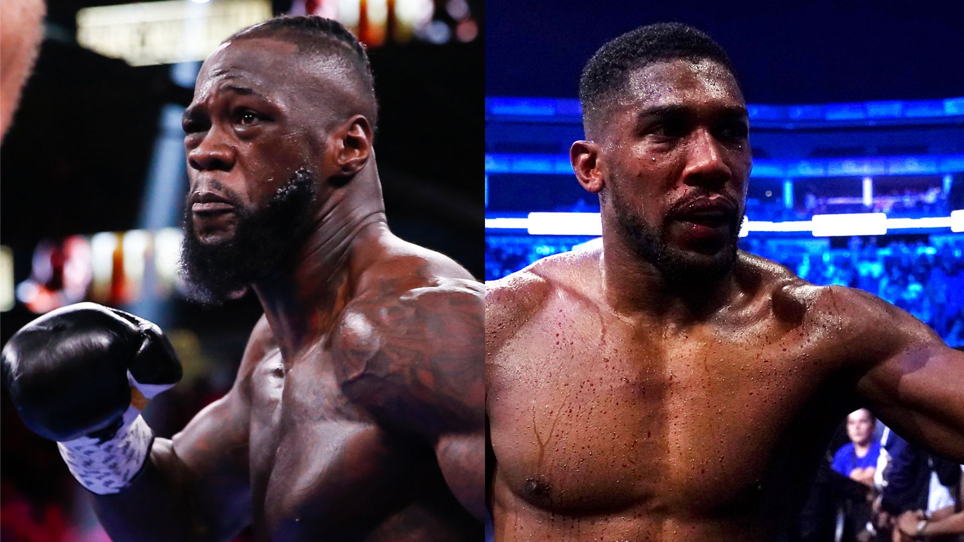 Wilder and Joshua set to fight on same December bill in Saudi