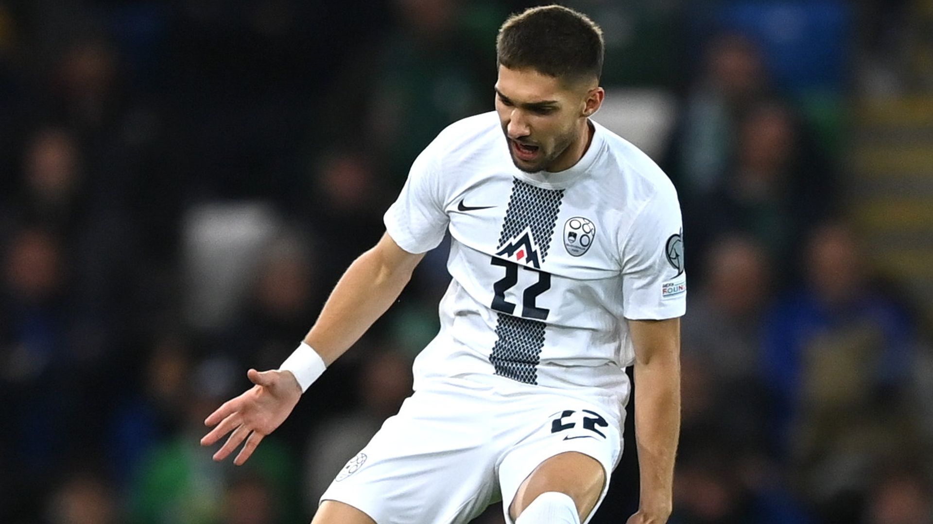 Northern Ireland 0-1 Slovenia - Full-time score
