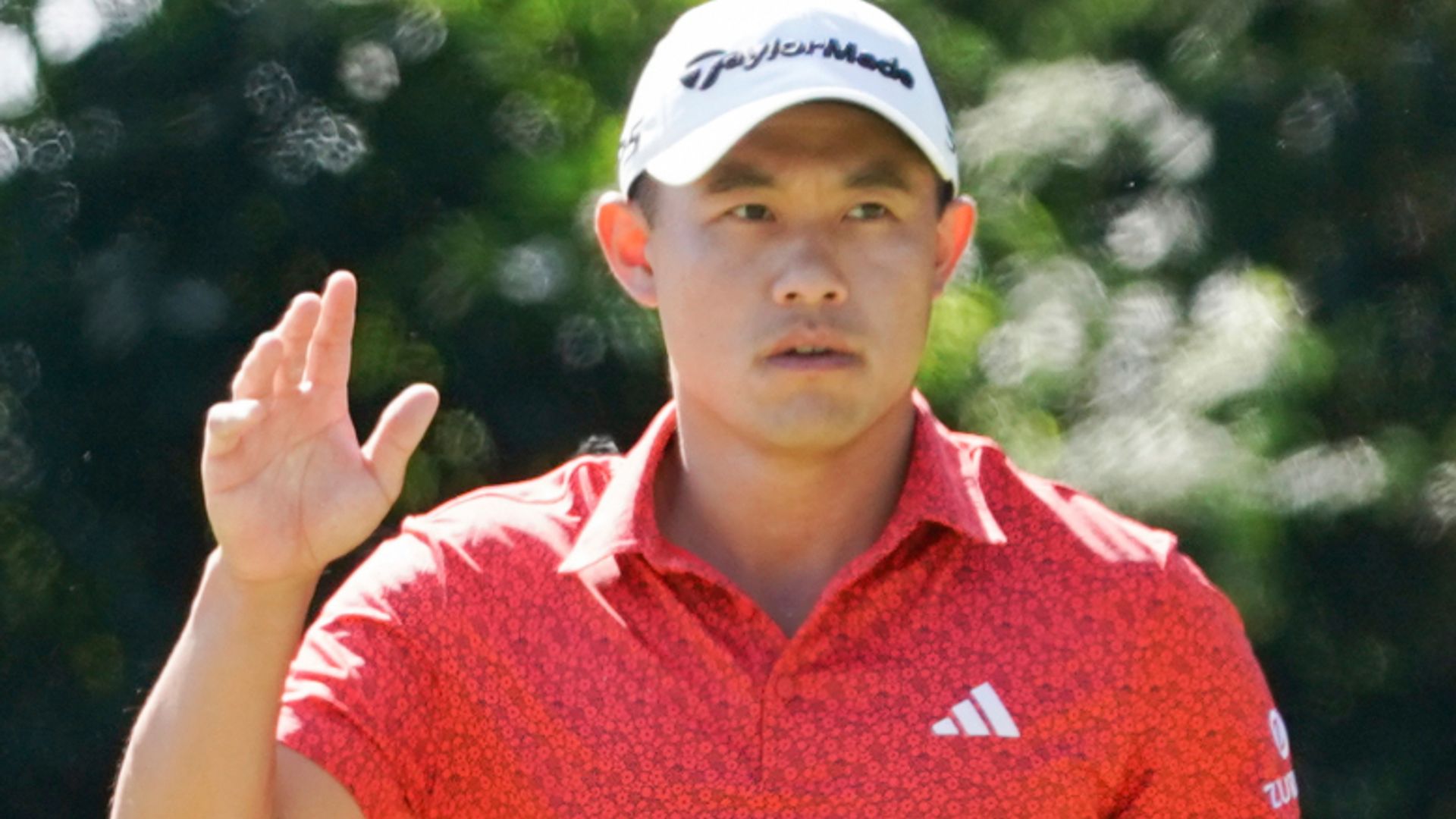 Morikawa ends PGA Tour drought and cruises to Zozo victory