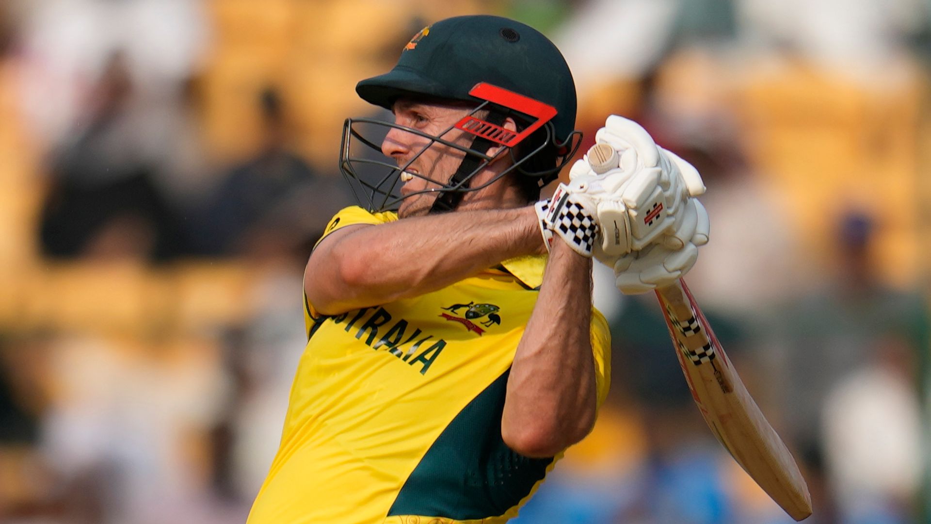 Marsh: No easy games as Australia look to avoid Netherlands upset