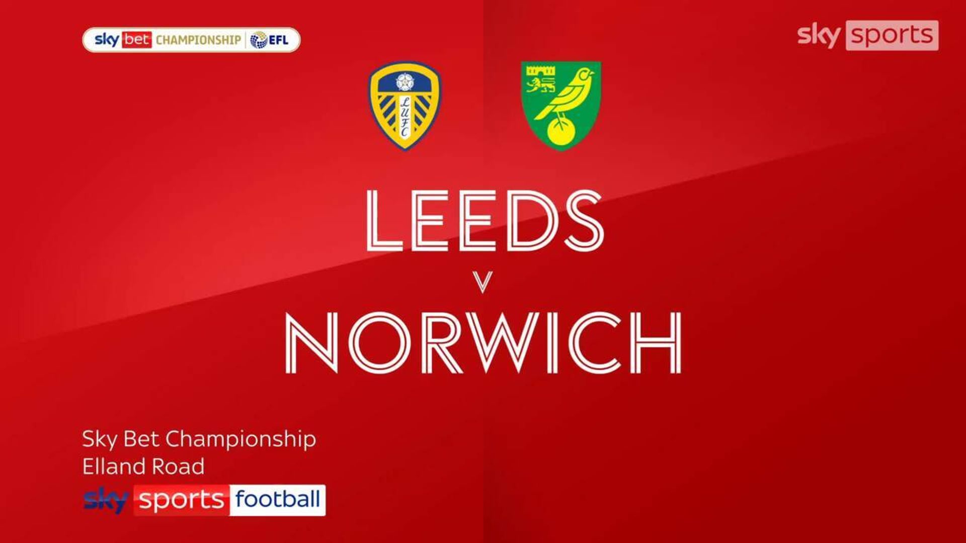 Leeds 1-0 Norwich