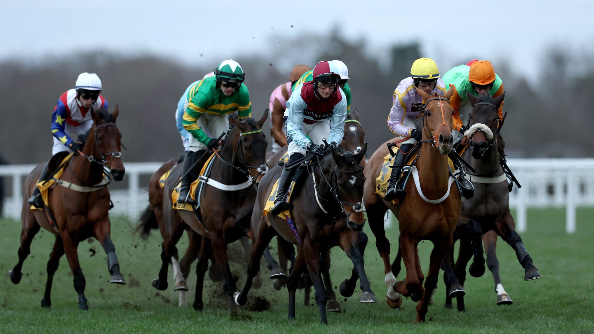 Jamie Lynch's Betfair Ascot Chase preview