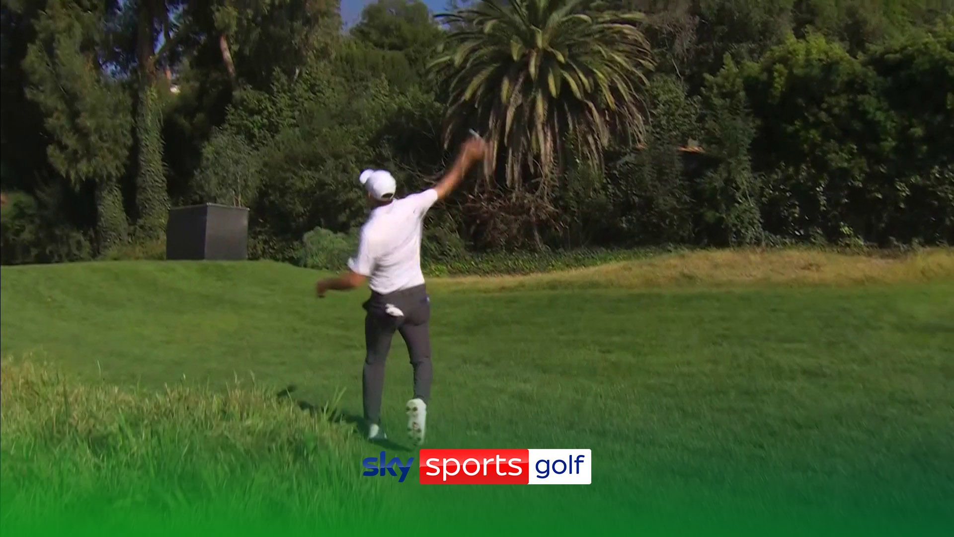 Scheffler launches ball into trees in anger after nightmare birdie attempt