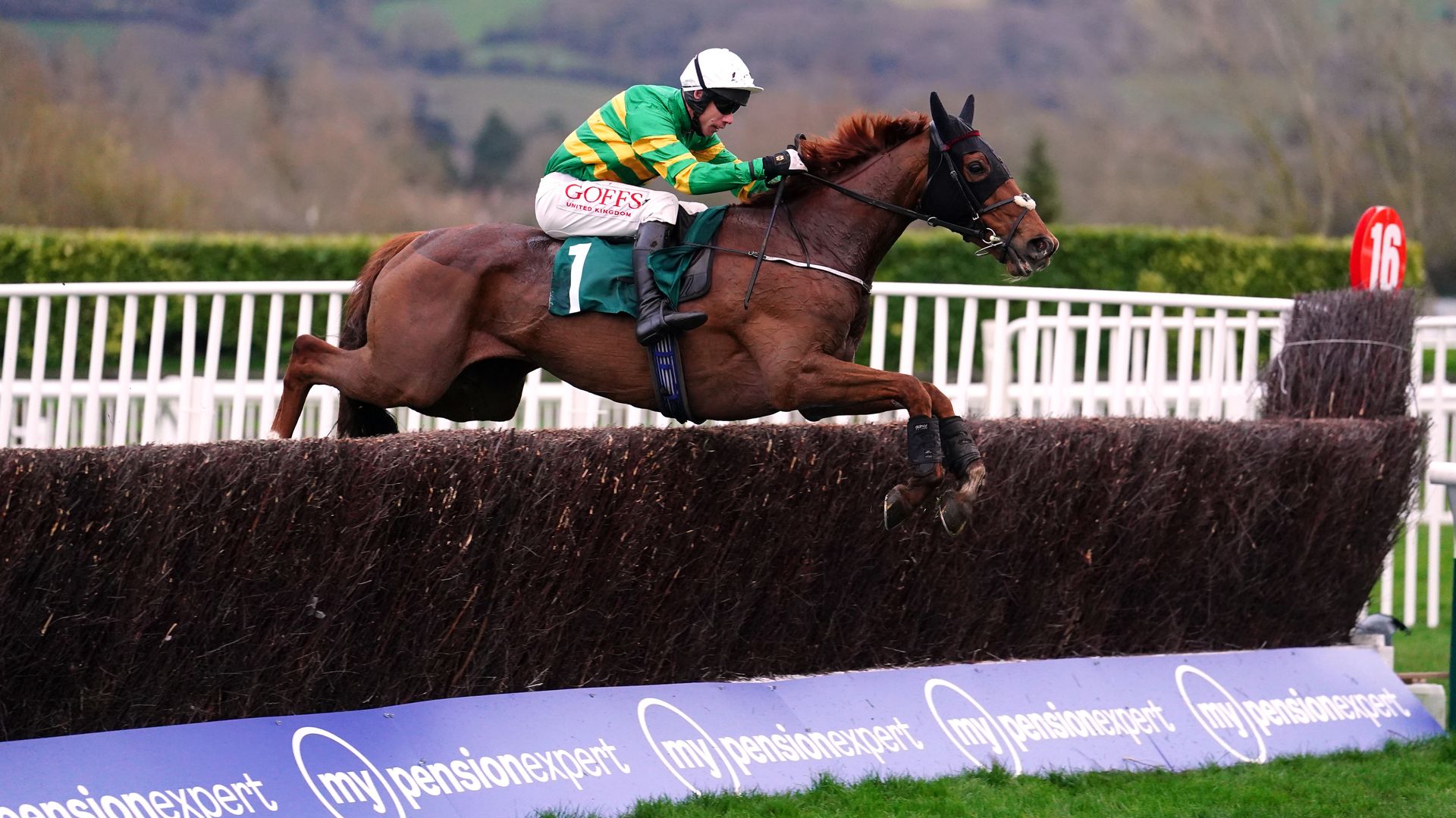 'A sad day for Amateur jockeys' - Racing reacts to Cheltenham changes 