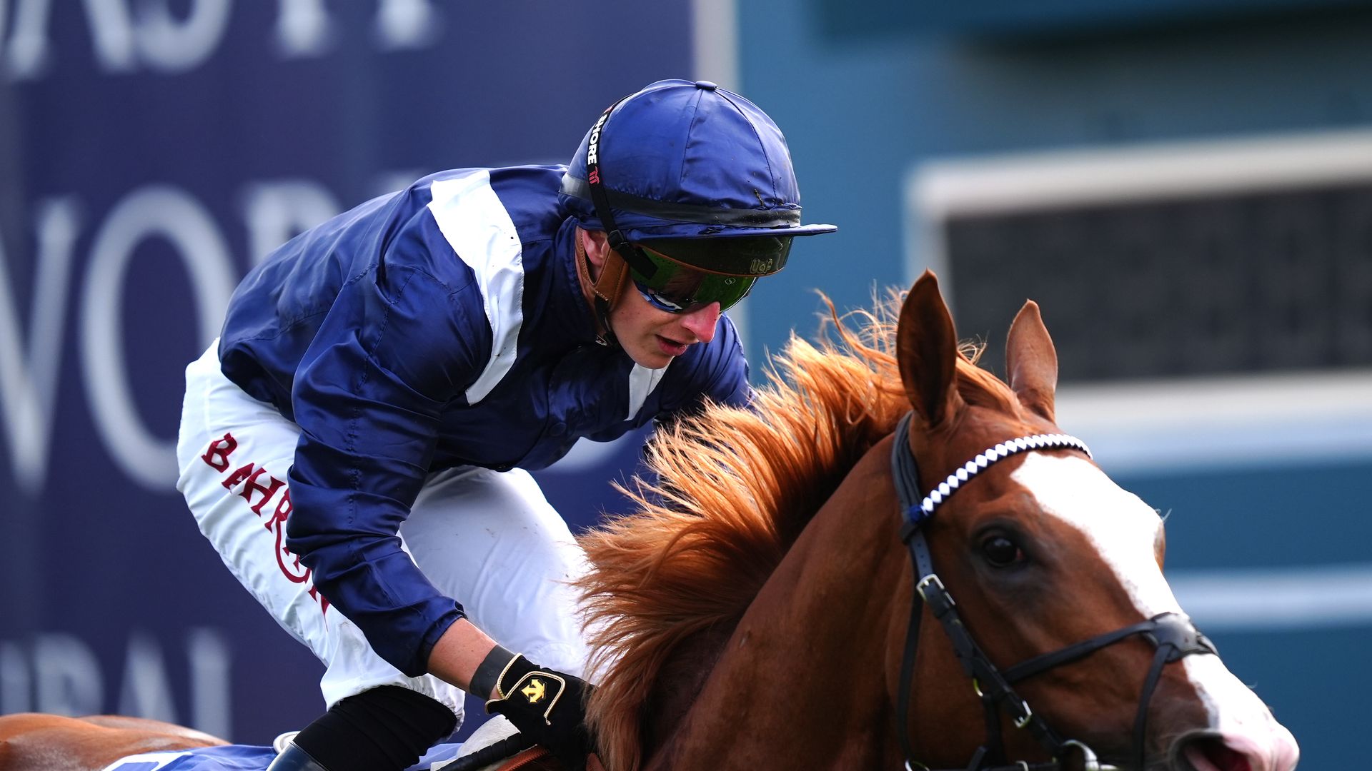 'He's the best possible choice at the moment' | Tom Marquand backs a Derby bid for Economics
