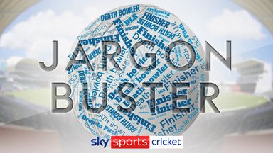 Image from T20 World Cup jargon buster: Learn about powerplays, finishers, drop-in pitches, DLS, DRS and more