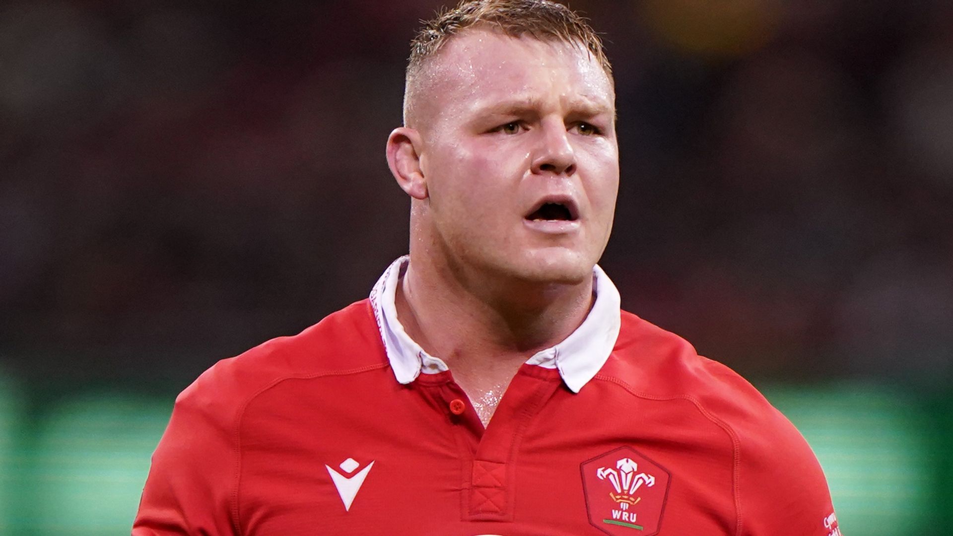 Lake captain, two uncapped players in Wales' Autumn Nations Series squad