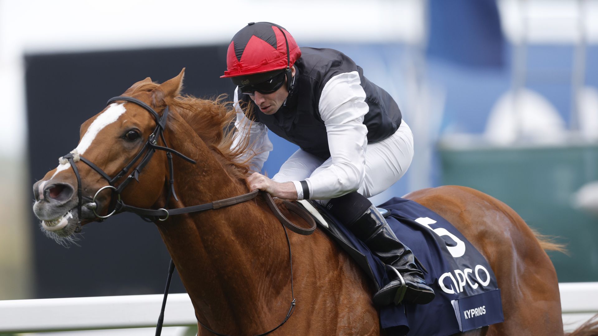 Dual Gold Cup hero Kyprios retired after aggravating old injury