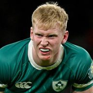 Jamie Osborne is among four injured players who will miss Ireland's Autumn Nations clash against Australia