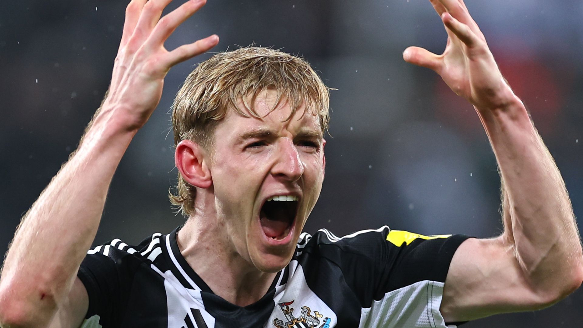 Gordon: Who said I was leaving Newcastle? | 'Winning a trophy my priority'