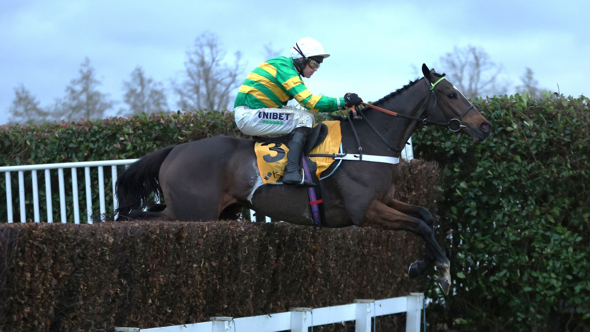 Jonbon all class to retain Tingle Creek title